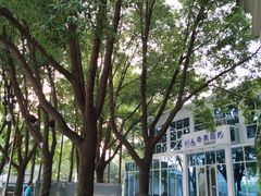 -西北湖绿化广场