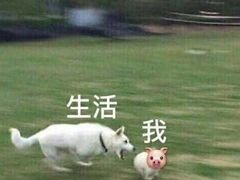 -厝内小眷村(新北万达店)
