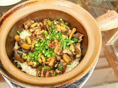 -红星光发煲仔饭(文海店)