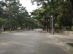 -东北大学(南湖校区)