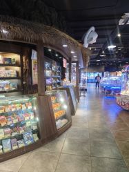 -卡通尼·Safari非洲探索乐园·生日会(金桥国际商业广场店)