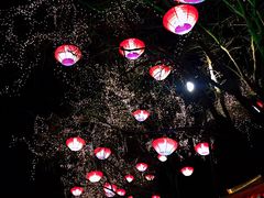 大堂-云海肴云南菜(曲江大悦城店)