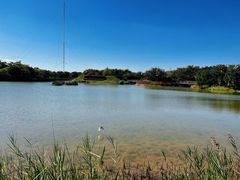 -福田红树林生态公园