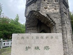 -上海佘山国家森林公园天马山园