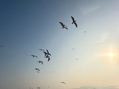 -长岛南北长山旅游景区