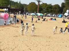 -上海月湖雕塑公园