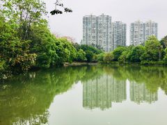 -金山公园