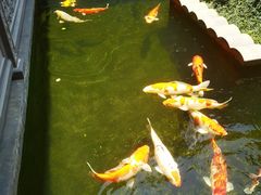 -孔雀湖生态旅游区
