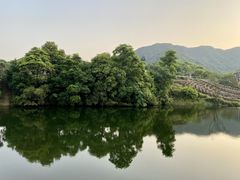 -龙坞茶村
