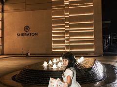 -广州奥园喜来登酒店