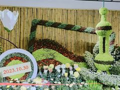 -杭州植物园