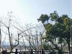 -楼外楼·停车场