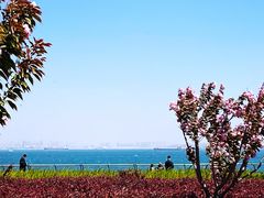 -大连海昌东方水城