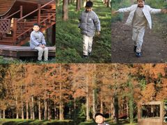 -黄海国家森林公园