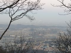 -紫金山山顶公园
