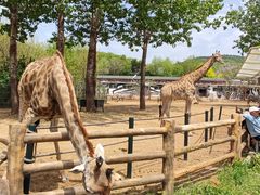 -大连森林动物园