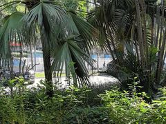 -勝記酒家·37年老字号·经典粤菜(荔枝公园店)