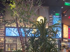 -桂满陇·海市蜃楼·黑金(国金店)