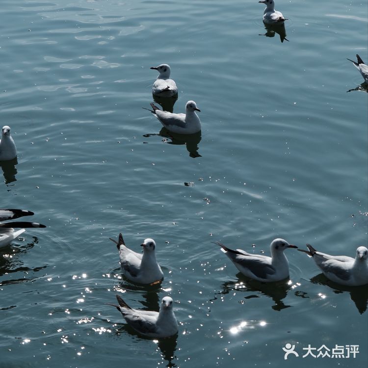 心波随水波荡漾｜幸福容波光粼粼