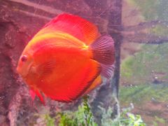 -上海海洋水族馆