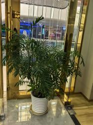 -CICI纤美·科技减肥美容