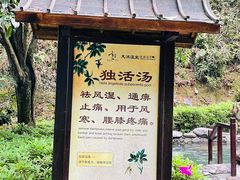 -明月山天沐温泉度假村