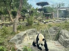 -武汉动物园