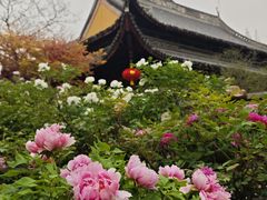 -龙华寺