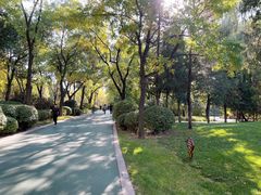 -迎泽公园