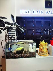 -FINE HAIR 烫染专业设计