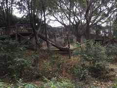 餐饮设施-成都大熊猫繁育研究基地