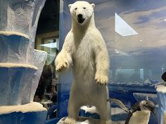 -国家自然博物馆