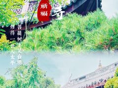 -龙华寺