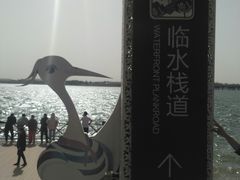 -丁香湖公园
