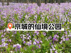 -将府公园