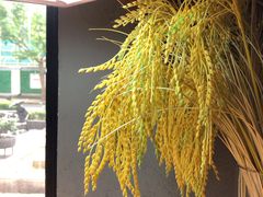 景观位-家味螺蛳粉&烤鱼(安远路店)