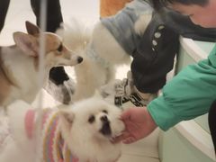 -怪兽屋·羊驼·猫咖·狗咖(俊华广场店)