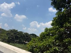 -海珠湖公园