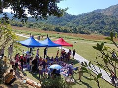 -风云岭森林公园