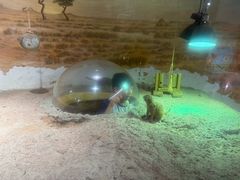 -正佳雨林生态植物园