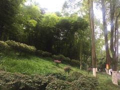 -邓小平故里
