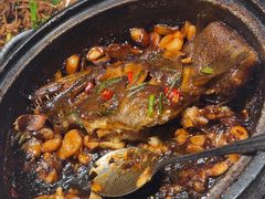 经典石锅碟鱼头-船家渔(徐州北路店)