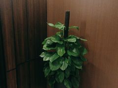 -南城故事柔式幻装Spa·按摩养生馆(世纪城店)