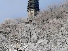 -高尔山公园