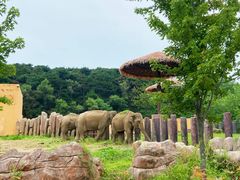-沈阳森林动物园