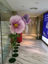 -大华韩艺整形美容医院