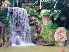 -广州市帽峰山景区