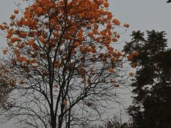 -松山湖风景区松湖烟雨