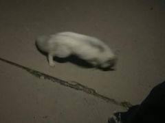 -鬼笑石后山停车场