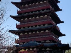 -祥源·阜阳生态乐园